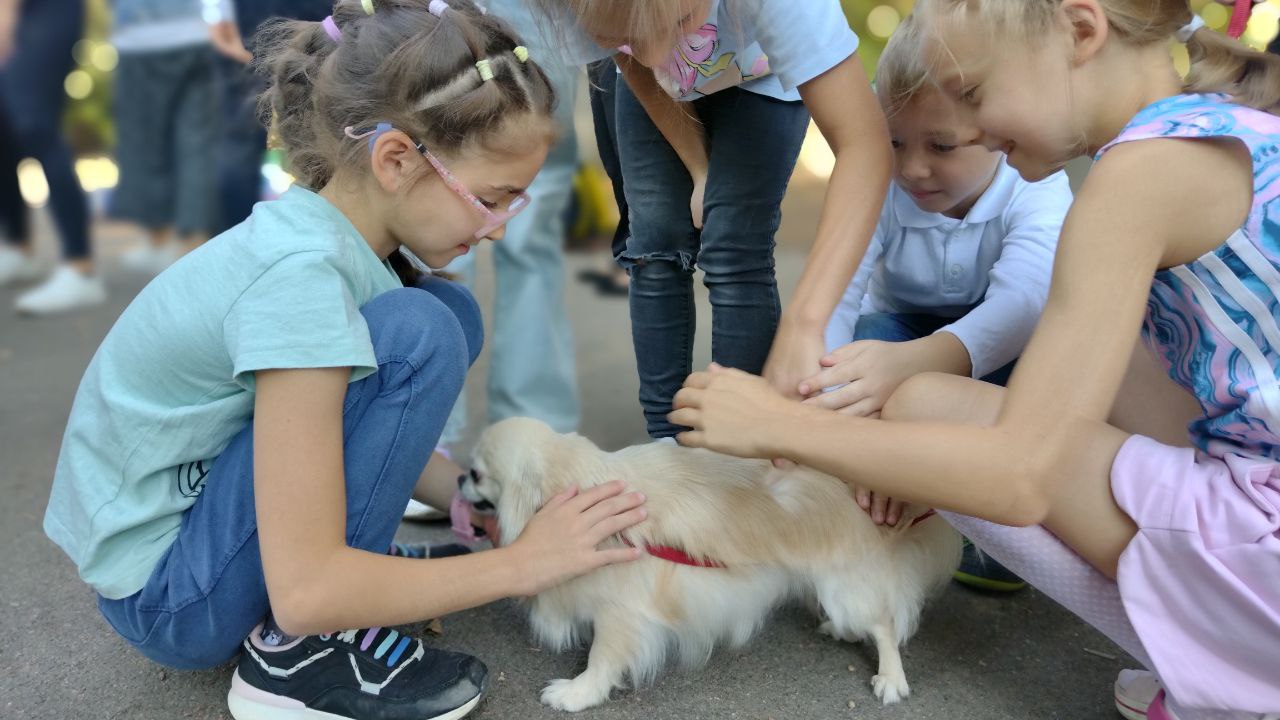 Дон Боско Одеса